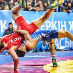 Meet your Posher, Gavin